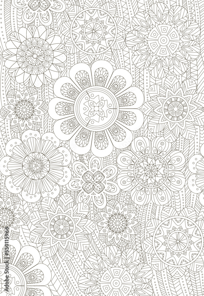 Floral coloring page with ornaments for adults on white background