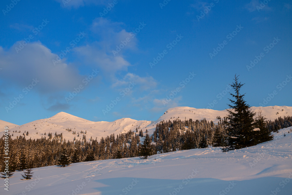 Snowy mountain of Marmaros range, The Carpathian mountains