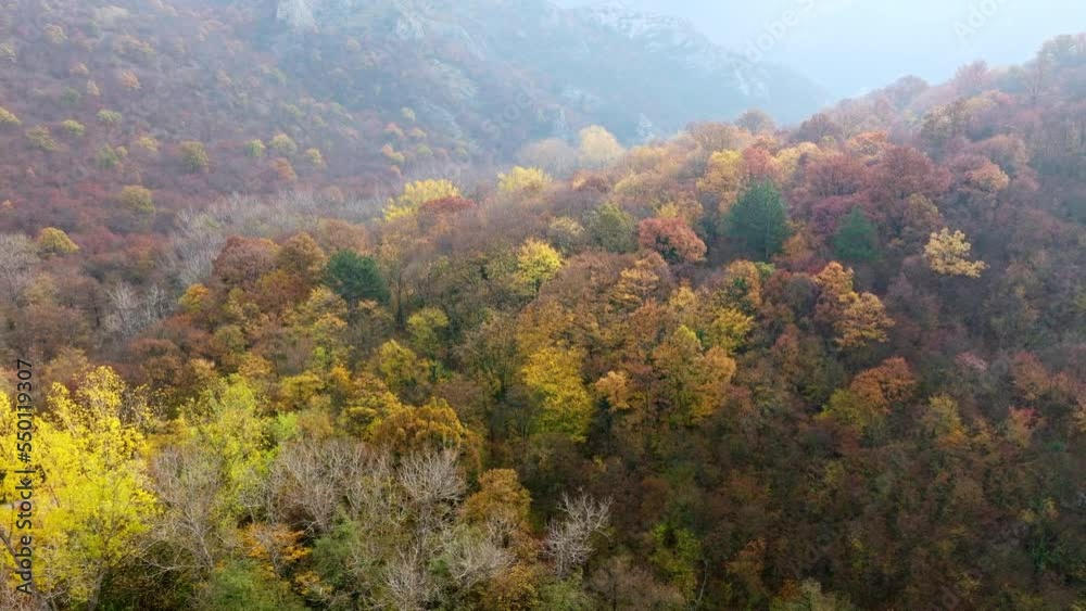 Aerial view on an beautiful autumn in the mountains covered with colourful trees. Aerial view on an beautiful autumn in the mountains covered with colourful trees.