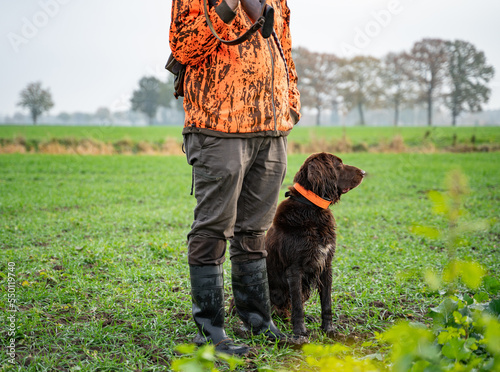 Jagdhund an der Seite des Jägers, bei der Jagd. photo