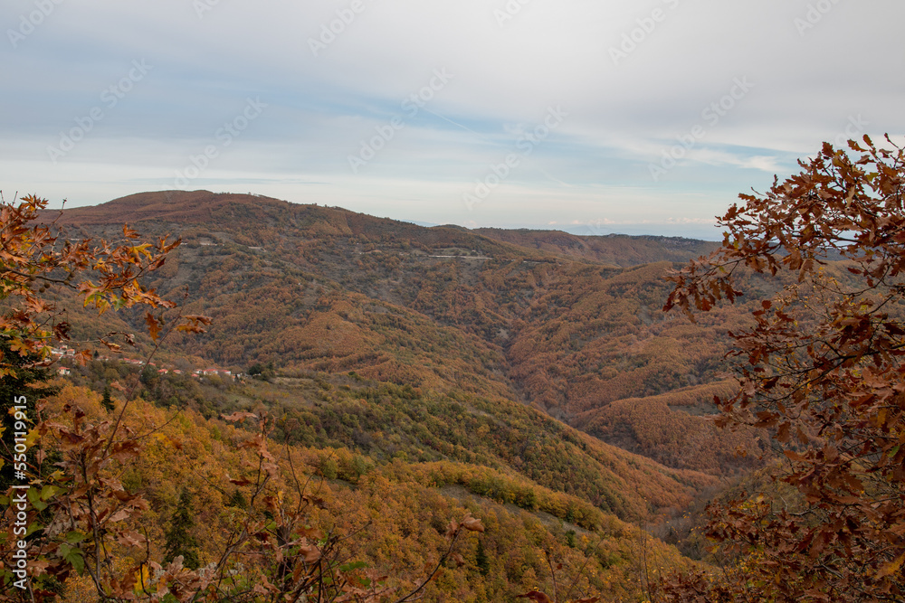 autumn landscape in the mountains