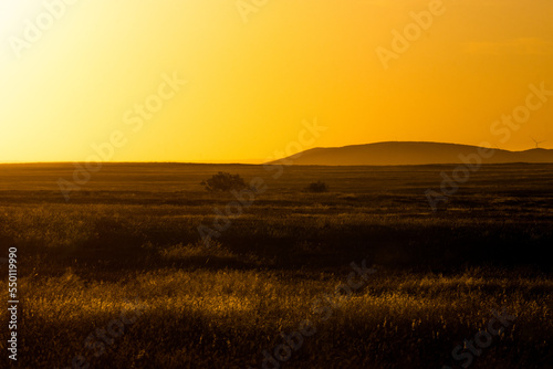 Alberta Grasslands at sunset near Medicine Hat Alberta