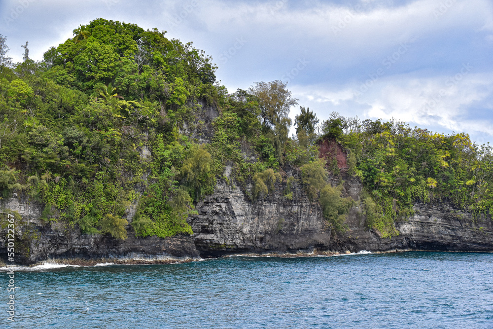 island on the tropical sea with palm trees island on the tropical sea with palm trees