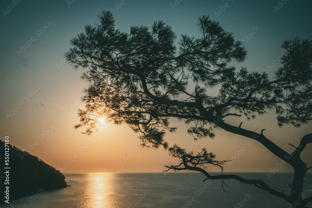 Sunrise above sea and pine tree with blue sea background Turkey Sunrise above sea and pine tree with blue sea background Turkey