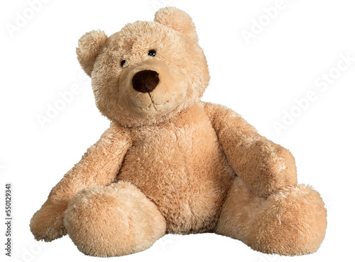 Old teddy bear isolated against white photo