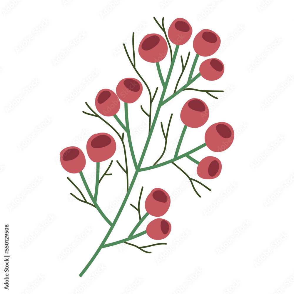 christmas branch berries