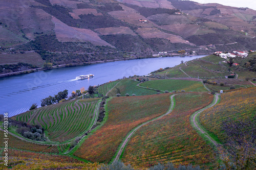 Panoramic view in autumn Vineyards in Douro valley, Alto Douro Wine Region is UNESCO World Heritage Site. Peso da Regua, Portugal, Europe