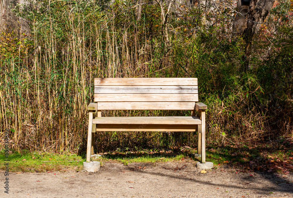 Wooden park bench on a walking trail in a park