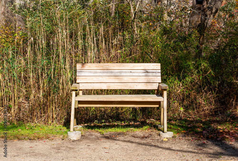 Wooden park bench on a walking trail in a park Wooden park bench on a walking trail in a park