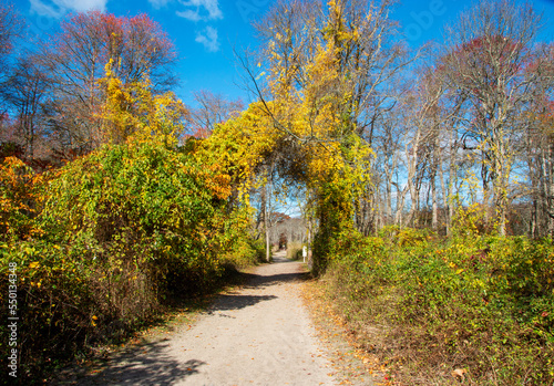 Colorful leaves surrounding a dirt parh in Gardiners park photo