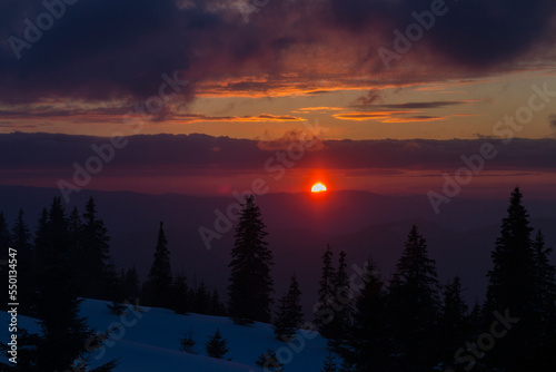 Winter mountain landscape with spruce trees on the evening light on the sunset. Marmarosy, The Carpathians