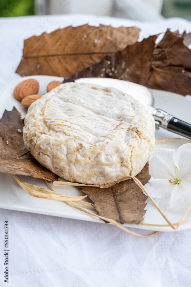 French mountains cheese banon wrapped in chestnut leaves made in Provence from unpasteurised goat milk French mountains cheese banon wrapped in chestnut leaves made in Provence from unpasteurised goat milk