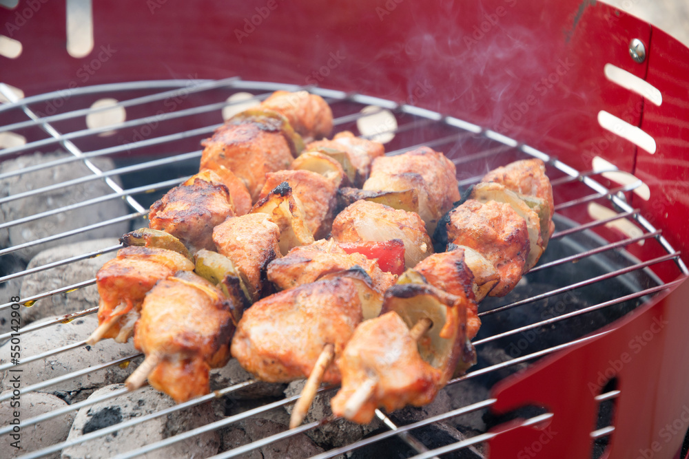 summer picnic with barbecue marinated chicken skewers with grilled vegetables