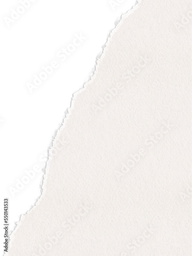 Beige torn paper with shadow. Torn sheet of paper. Torn paper decorative element. Ripped paper sheet.