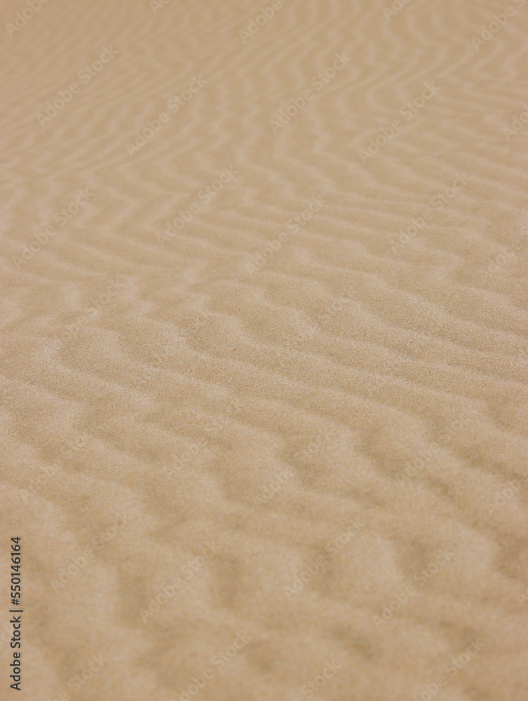 Obraz premium Ripples in Sand made by wind