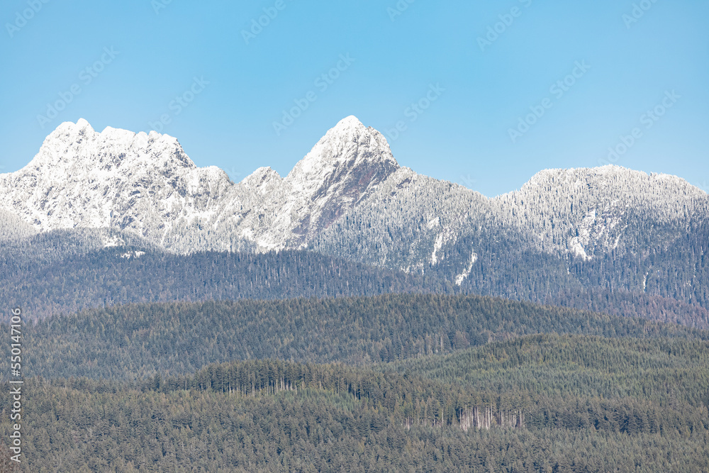 Landscape in mountains in Canada. Pine forest on the winter mountains. Spruce coniferous Forest Landscape