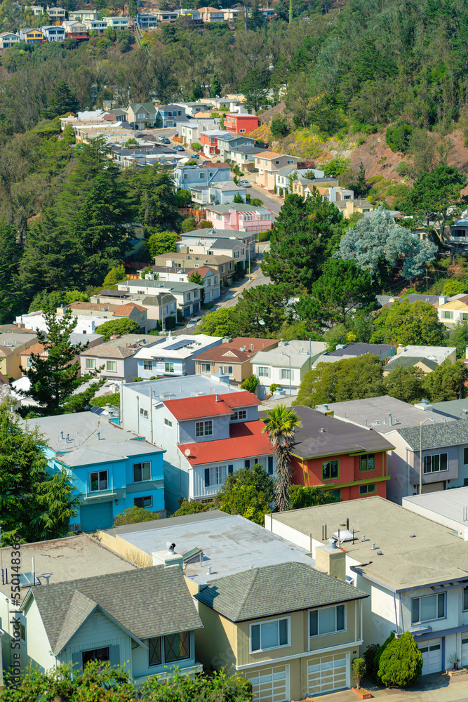 Fototapeta premium sprawling colorful neighborhood in san francisco california