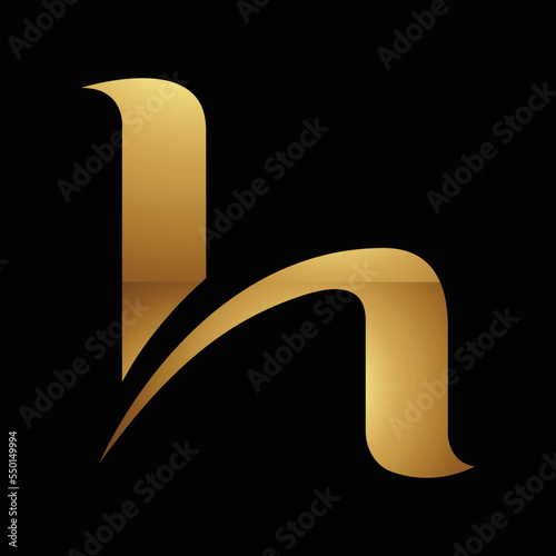 Golden Letter H Symbol on a Black Background - Icon 4