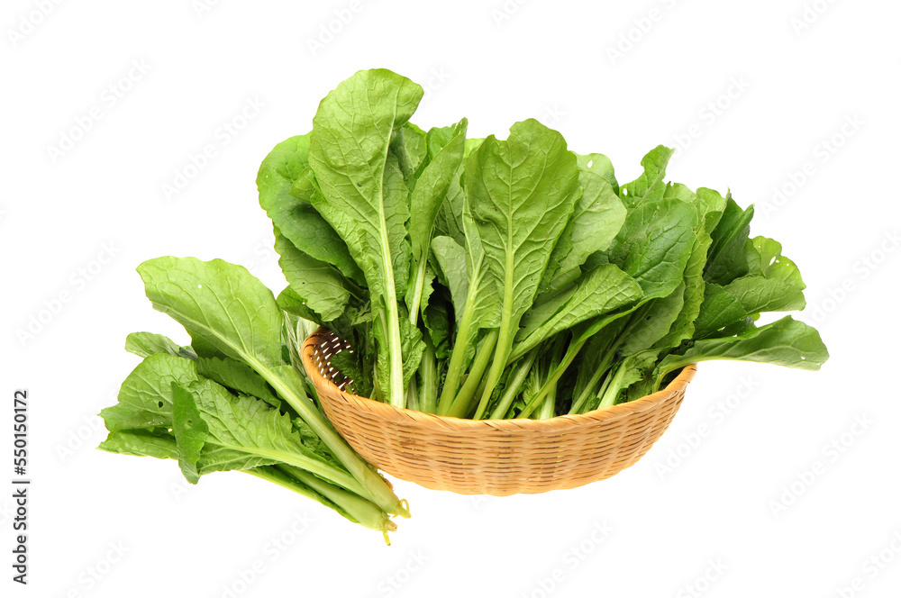 Small Chinese cabbage on white background Small Chinese cabbage on white background