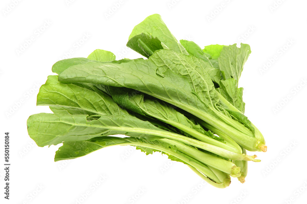 Small Chinese cabbage on white background Small Chinese cabbage on white background