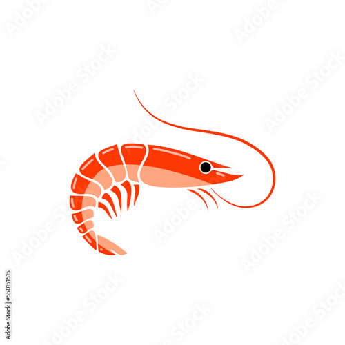 Cute fresh sea shrimp isolated on white background