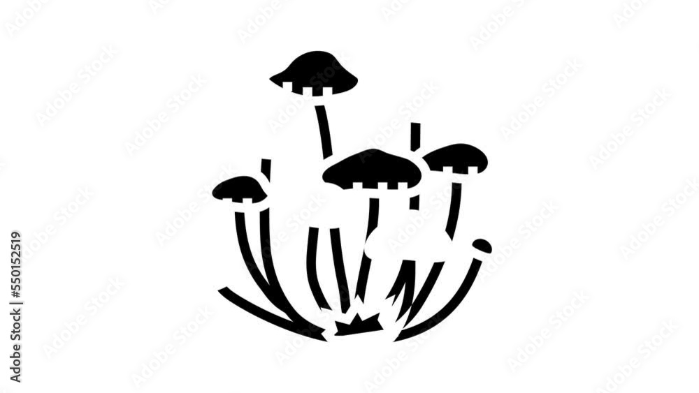 psychedelic natural mushroom glyph icon animation psychedelic natural mushroom glyph icon animation