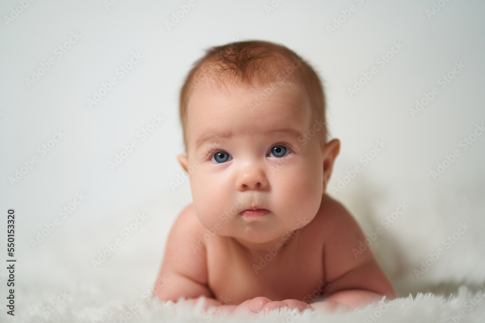 portrait of a quiet baby lying on his belly against a white background portrait of a quiet baby lying on his belly against a white background