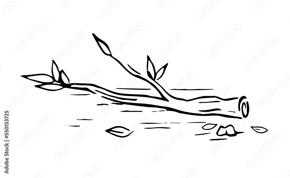 Broken branches fall to the ground retro old line art etching vector Broken branches fall to the ground retro old line art etching vector