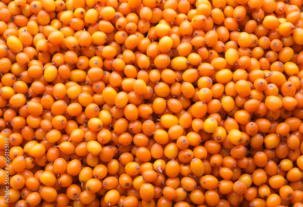 Fresh ripe sea buckthorn berries as background, top view Fresh ripe sea buckthorn berries as background, top view