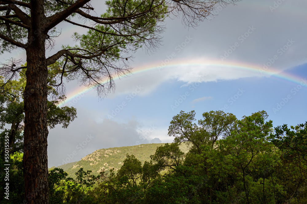 Mountains in Corsica with rainbow, blue sky and green forests, panorama, landscape, Montagnes en Corse avec arc-en-ciel, ciel bleu, forets, paysage
