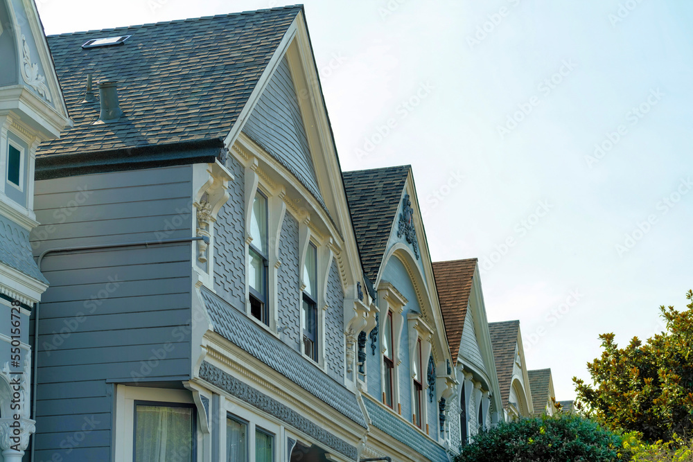Row or light blue wooden houses with horizontally slatted timber pannels with multicolored roofs and front yard foliage and trees Row or light blue wooden houses with horizontally slatted timber pannels with multicolored roofs and front yard foliage and trees