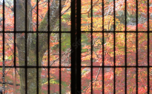 名刹の紅葉