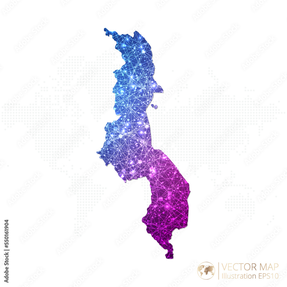 Malawi map in geometric wireframe blue with purple polygonal style gradient graphic on white background. Vector Illustration Eps10.