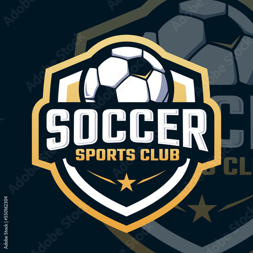 Soccer Logo, football logo sport for your professional team
