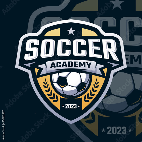 Soccer Logo, football logo sport for your professional team