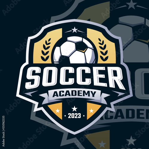 Soccer Logo, football logo sport for your professional team