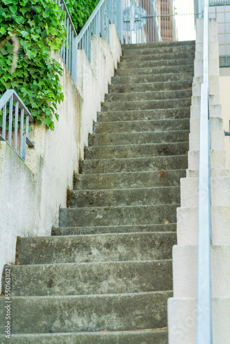 Long set of cement stairs with white stucco banister with metal hand rail and side foliage and plants