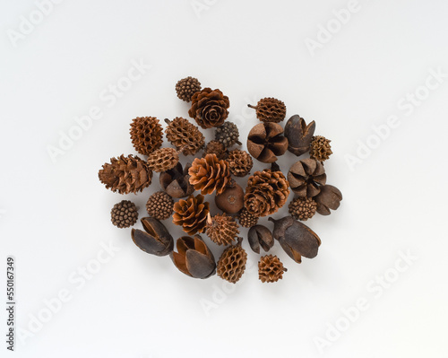 A collection of pine corns on white background. Top view. 