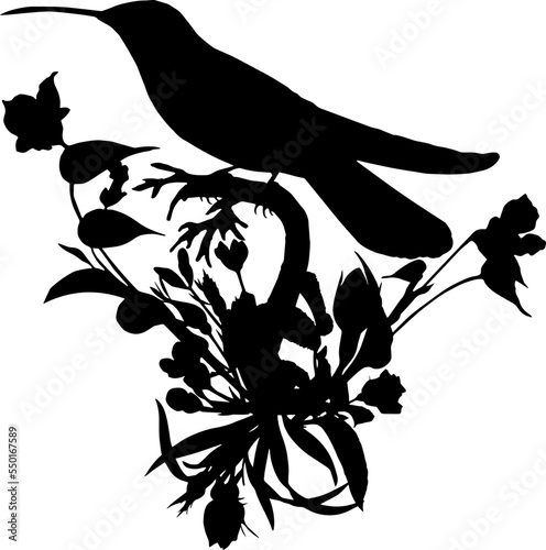 Floral Hummingbird Silhouette