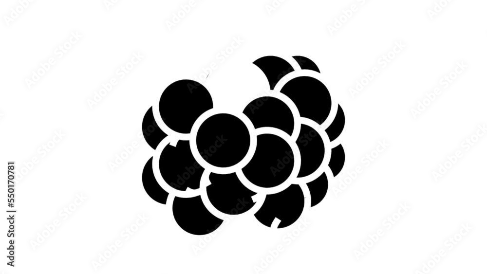blackberry juicy berry glyph icon animation blackberry juicy berry glyph icon animation