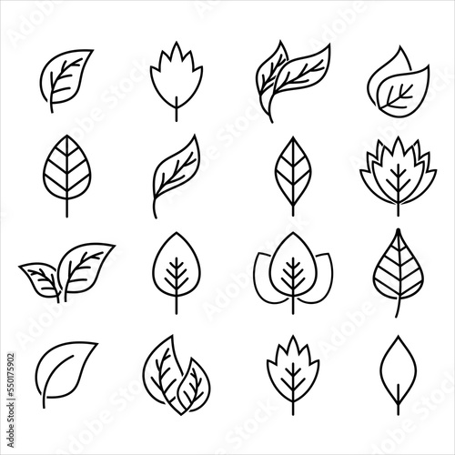  leaf icons design template vector