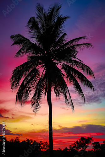 Coconut tree silhouette with colorful sky in the evening time for background