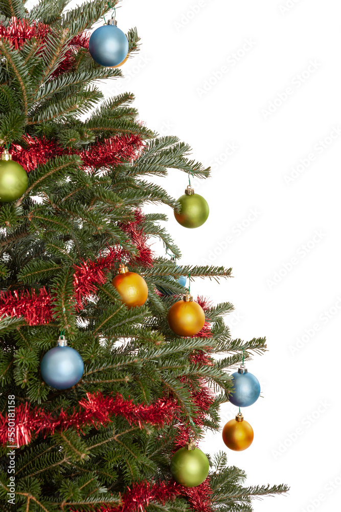 Part of a real, decorated evergreen Christmas tree with red garland, and blue green and gold Christmas ornaments isolated on a white background