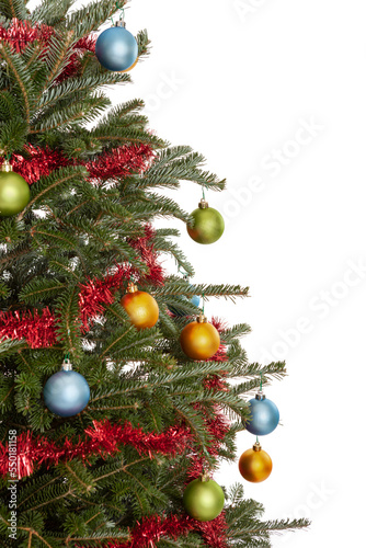 Part of a real  decorated evergreen Christmas tree with red garland  and blue green and gold Christmas ornaments isolated on a white background