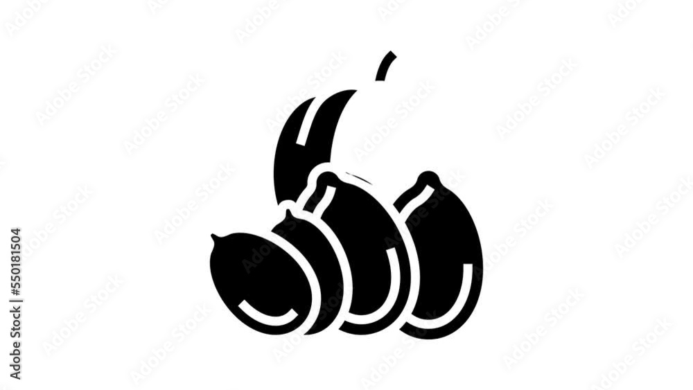 pumpkin nut glyph icon animation pumpkin nut glyph icon animation