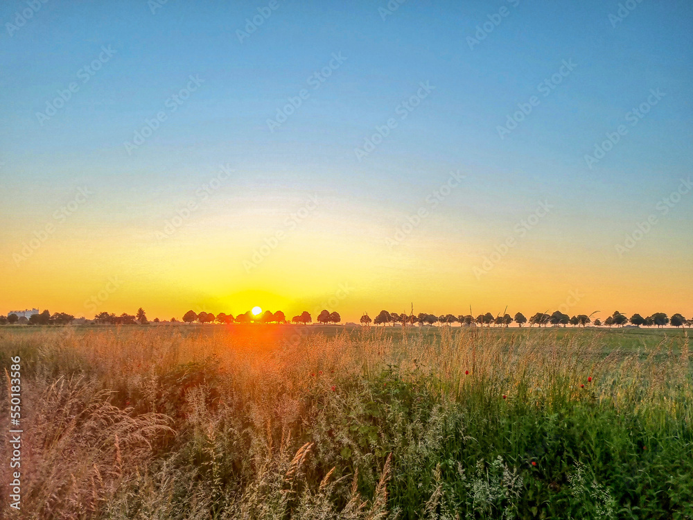Beautiful sunrise in the field in Wunstorf Germany Beautiful sunrise in the field in Wunstorf Germany