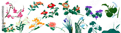 ベクター 和風アジアンな花のイラスト 詰め合わせパック