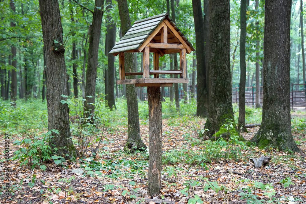 Feeder for squirrels in the park. Feeder for squirrels in the park.