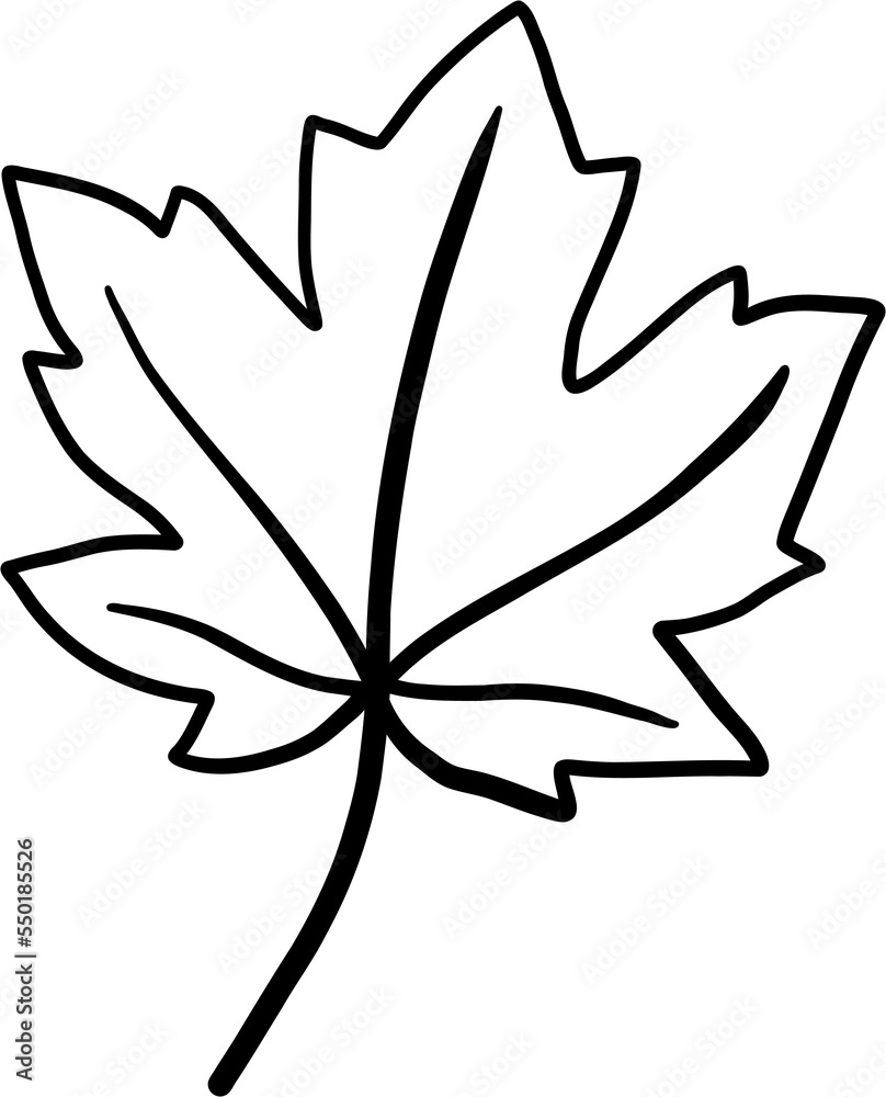 simplicity maple freehand drawing flat design. simplicity maple freehand drawing flat design.