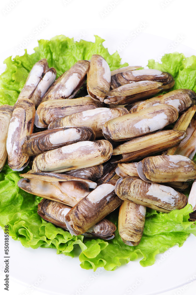 Razor clams isolated on white background. Razor clams isolated on white background.
